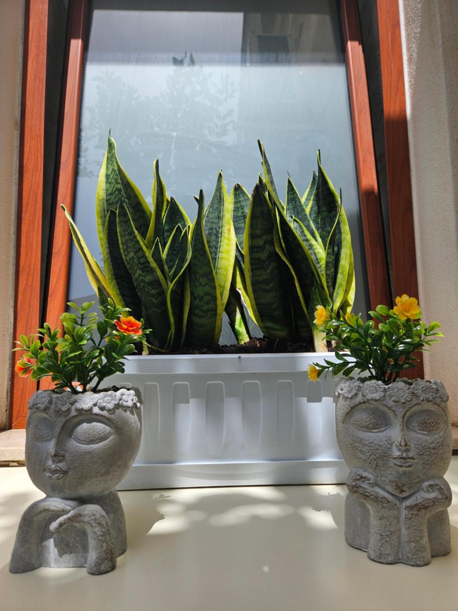 Guru House B&B Apartments Μιλάτσο Εξωτερικό φωτογραφία
